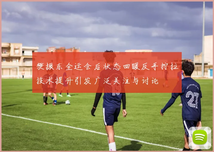 樊振东全运会后状态回暖反手拧拉技术提升引发广泛关注与讨论