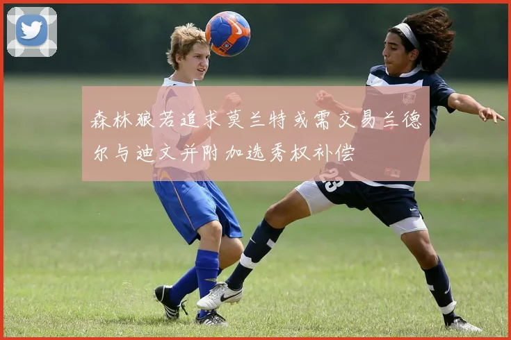 森林狼若追求莫兰特或需交易兰德尔与迪文并附加选秀权补偿